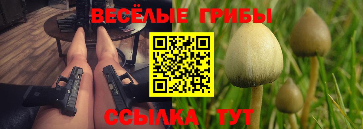 Псилоцибиновые грибы мицелий Санкт-Петербург