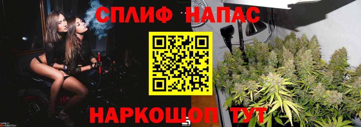 МАРИХУАНА план  Конопля планчик  Вход с VPN  Санкт-Петербург 